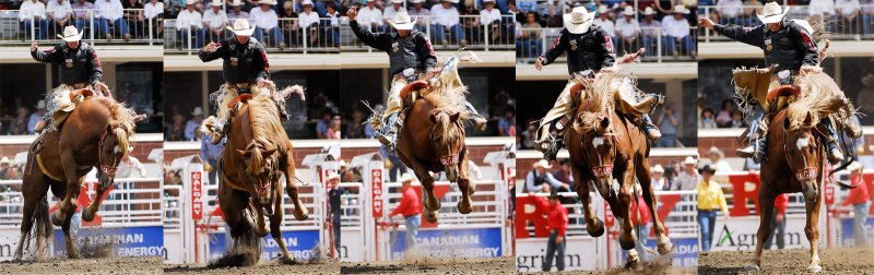 Saddle Bronc 1