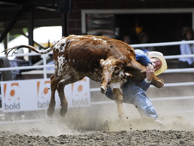 Steer Wresling