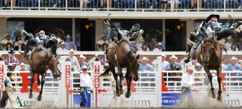 Bareback 8