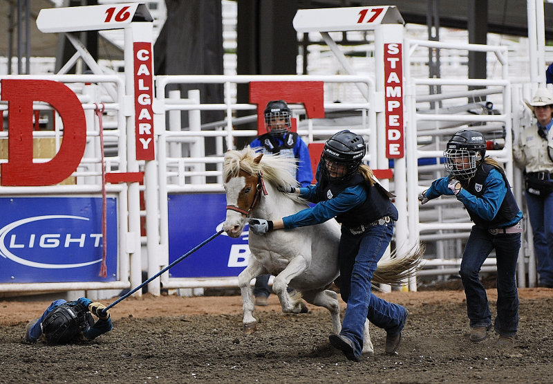 Wild Pony Racing