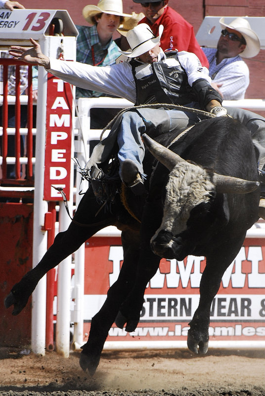 Bull Riding