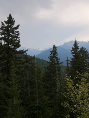 Goat Rocks Wilderness, White Pass