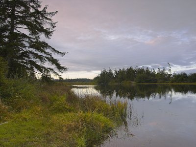 Pond, Deception Pass Park