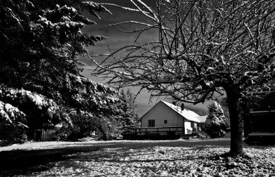 house-snow-bw-grad-mp.jpg