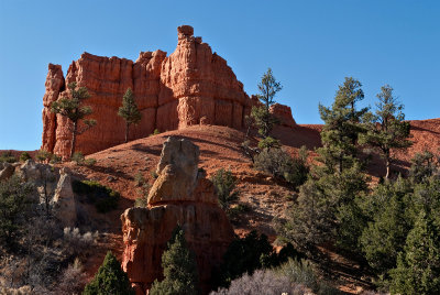Red Canyon1