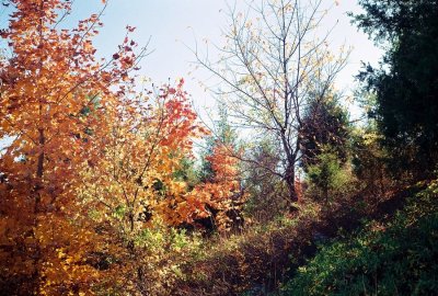 1-18.JPG
