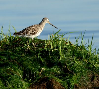 IMG_8248_2.jpg