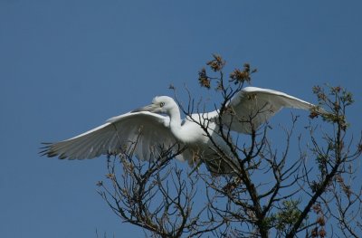 IMG_1352_2.jpg