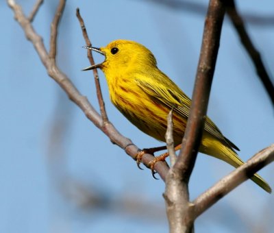 IMG_9096_3.jpg