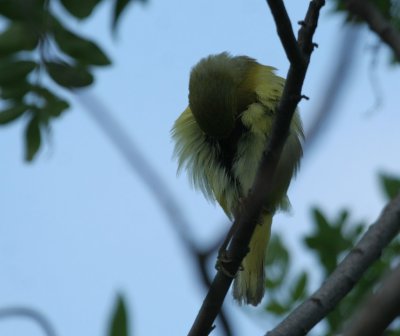IMG_9000_2.jpg