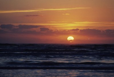 Gulf Sunset