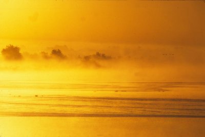 Hornsby Bend Sunrise