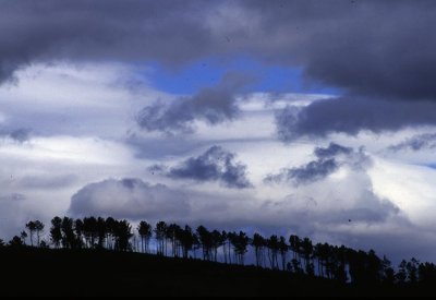 Silhouette in Spain