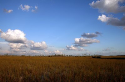 Everglades 09/06