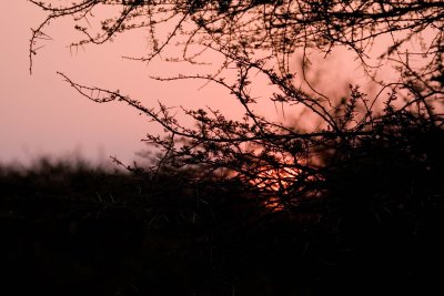 IMG_2181.jpg