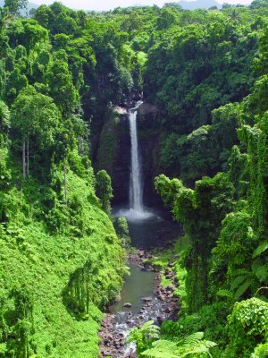 Waterfall -  Upolu Island