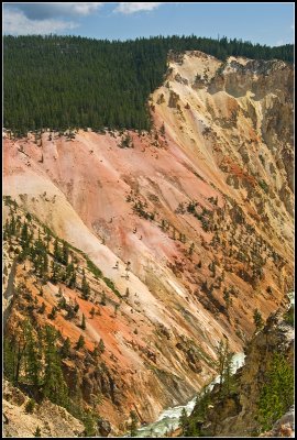 Grand Canyon of the Yellowstone III