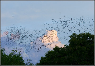 San Antonio