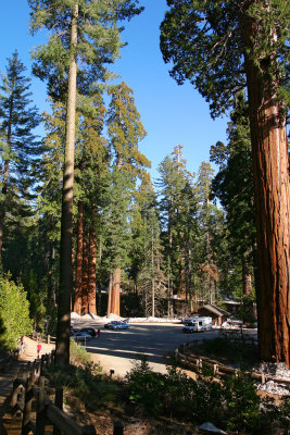 Sequoia Aera Park