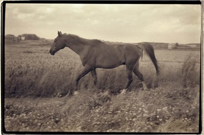 Jakhal with Argus C3