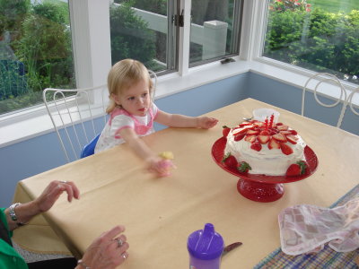 2nd birthday party at the cottage