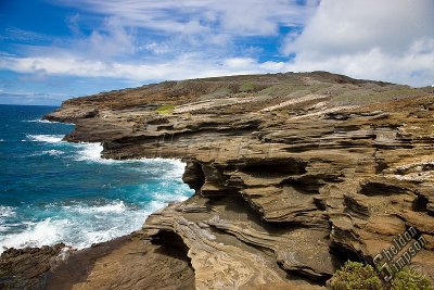 89580_Hawaii08__T4Y6814.jpg