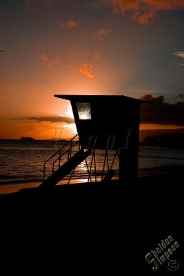 89783_Hawaii08__T4Y7017.jpg