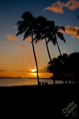 89789_Hawaii08__T4Y7023.jpg