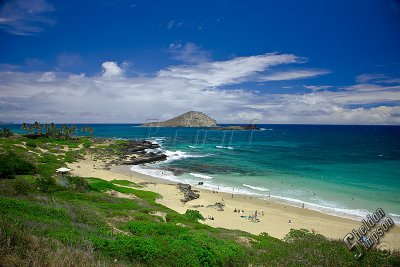 89691_Hawaii08__T4Y6925.jpg