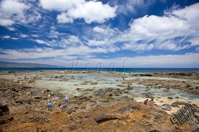 89970_Hawaii08__T4Y7092.jpg