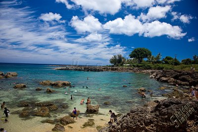 89974_Hawaii08__T4Y7096.jpg