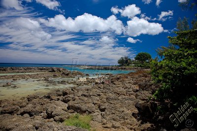 89979_Hawaii08__T4Y7101.jpg