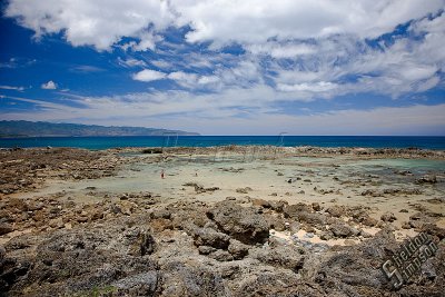 89983_Hawaii08__T4Y7105.jpg