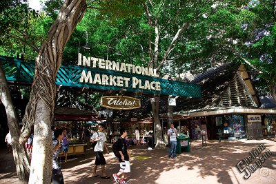 90394_Hawaii08__T4Y7169.jpg