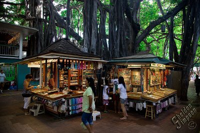 90402_Hawaii08__T4Y7177.jpg