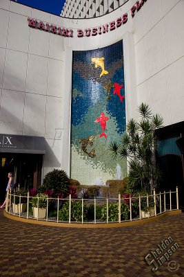 90424_Hawaii08__T4Y7199.jpg