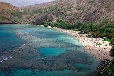 90369_Hawaii08__T4Y7144.jpg