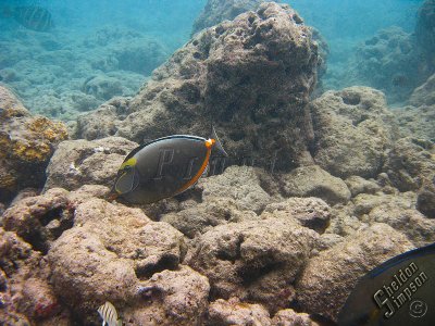 IMG_1182.jpg