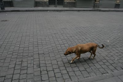 manip_IMG_9621.JPG