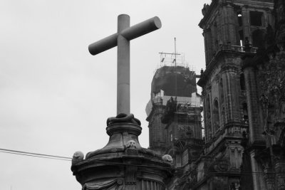 manip_IMG_0078-3.JPG