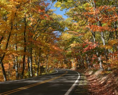 SOU-018-fall-color.jpg
