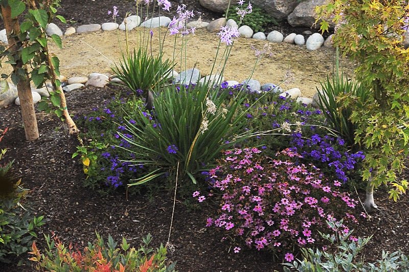 backyard-test-PS.jpg