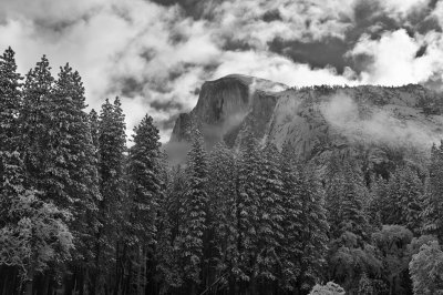 0139-Moody-Icon.jpg