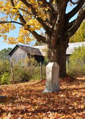 Foliage Oct 08