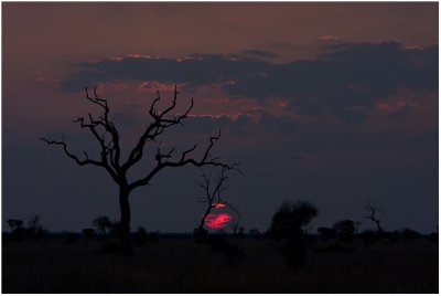 African Sunset II