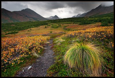 Near Flat Top