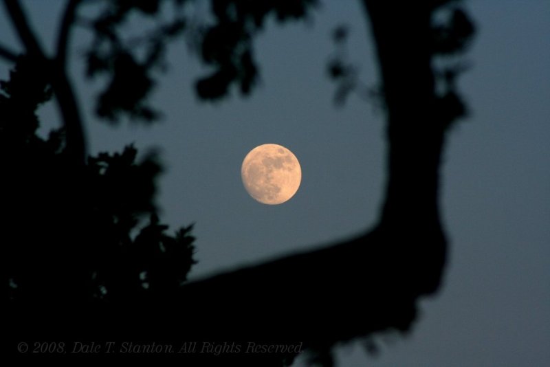 Framed Moon