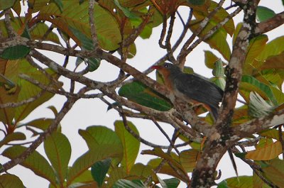 DSC_3179.jpg