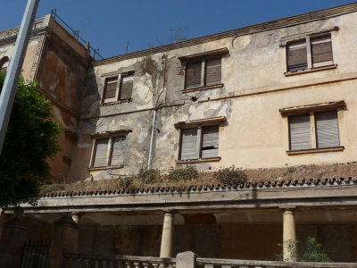 P1010238.jpg