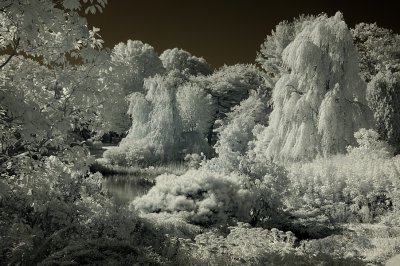 Resize of _DSC6897.jpg